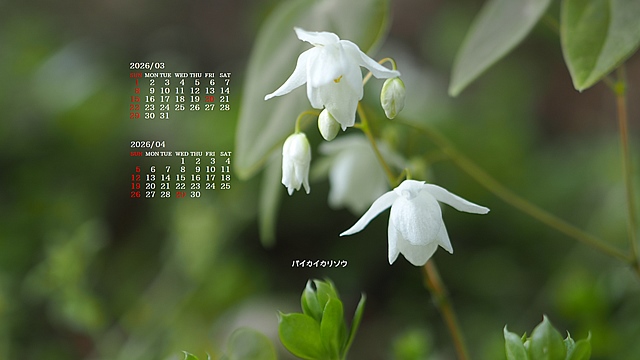 2026�N03�������J�����_�[�ǎ�026