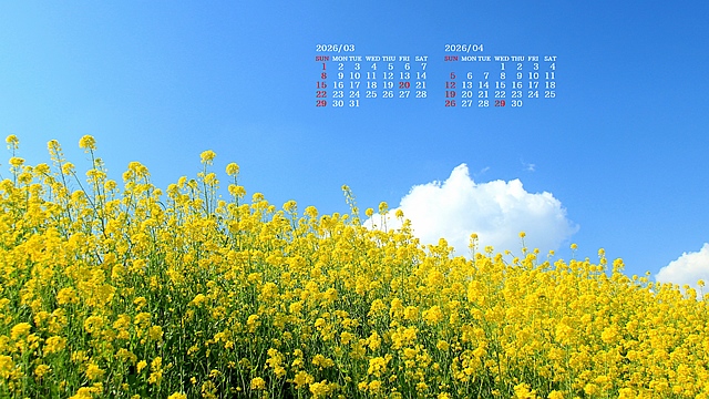 2026�N03�������J�����_�[�ǎ�027