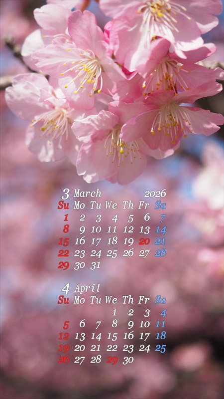 2026�N03���X�}�z�p�J�����_�[�ǎ�08