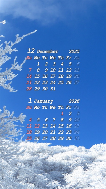 2025�N12���X�}�z�p�J�����_�[�ǎ�02