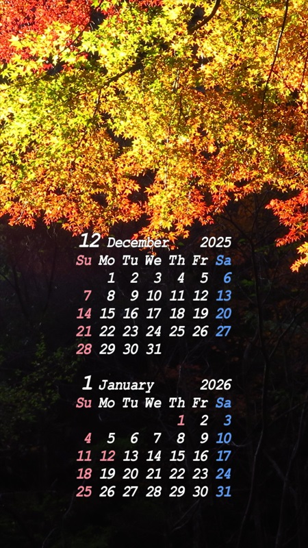 2025�N12���X�}�z�p�J�����_�[�ǎ�03