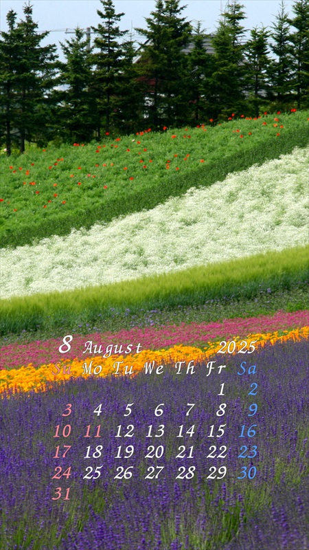 2025N8X}zpJ_[ǎ04