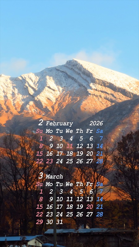 2026�N02���X�}�z�p�J�����_�[�ǎ�04