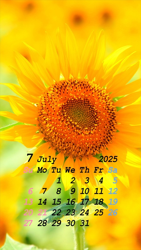 2025N7X}zpJ_[ǎ05