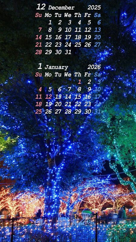 2025�N12���X�}�z�p�J�����_�[�ǎ�06